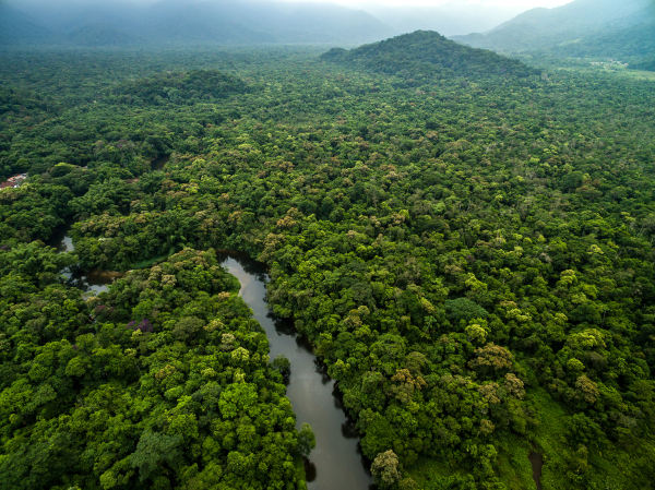 Brasil tem novo projeto aprovado pelo Fundo Verde do Clima e receberá US$ 85 milhões